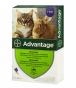 Advantage капли от блох для кошек свыше 4 кг (арт 54166) - 1