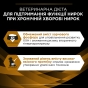 Purina Pro Plan Veterinary Diets Nf Renal Function влажный корм для собак 400 г (арт 7613035181533) - 4