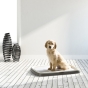 Savic Puppy Trainer туалет для собак 60х48х4 см (арт 3241) - 3