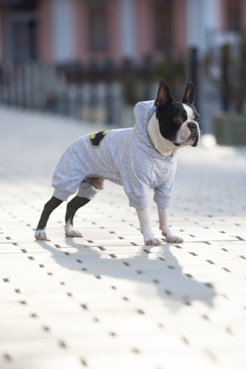 WauDog Clothes "Бетмен лого" комбінезон для собак XS25 (арт 302-2001) - 3