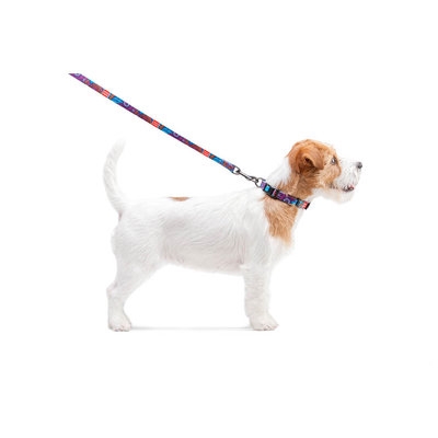 Повідець WAUDOG Nylon, "Літо" , Ш 15 мм, Дл 122 см, S (арт 4602) - 3