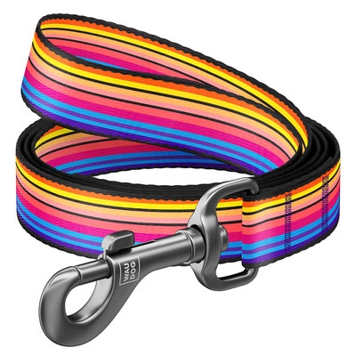 Повідець WAUDOG Nylon, "Лінії 1", Ш 25 мм, Дл 122 см, L (арт 4932) - 1