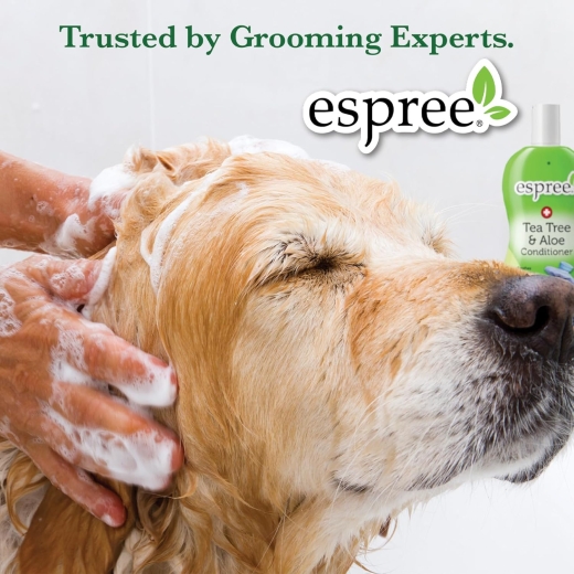 Espree Plum Perfect Shampoo шампунь сливовий для собак 3.79 л (арт e00189) - 3
