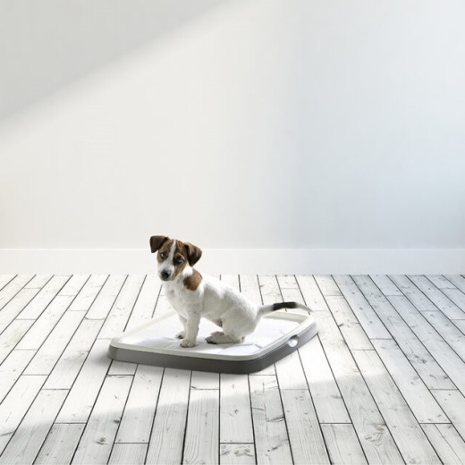 Savic Puppy Trainer туалет для собак 48х35х4 см (арт 3240) - 3