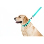 Повідець WAUDOG Waterproof, світиться, Ш 20 мм, Дл 122 см, M (арт 2726) - 3