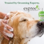 Espree Plum Perfect Shampoo шампунь сливовий для собак 3.79 л (арт e00189) - 3