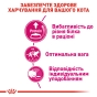 Royal Canin Protein Exigent сухий корм для вибагливих кішок 2 кг (арт 2542020) - 4