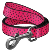 Повідець WAUDOG Nylon, "Кавун", Ш 25 мм, Дл 122 см, L (арт 4929)
