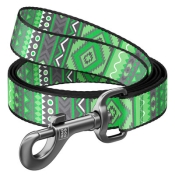 Повідець WAUDOG Nylon, "Етно зелений", Ш 25 мм, Дл 122 см, L (арт 4657)