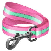Повідець WAUDOG Nylon, світлонакопичуючий, Ш 25 мм, Дл 122 см, Рожевий, L (арт 45757)