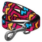 Повідець WAUDOG Nylon, "Графіті", Ш 25 мм, Дл 122 см, L (арт 4912)