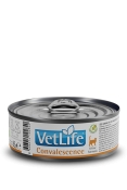 Farmina Vet Life Cat Convalescence Adult влажный лечебный корм для взрослых котов в период восстановления и выздоровления
