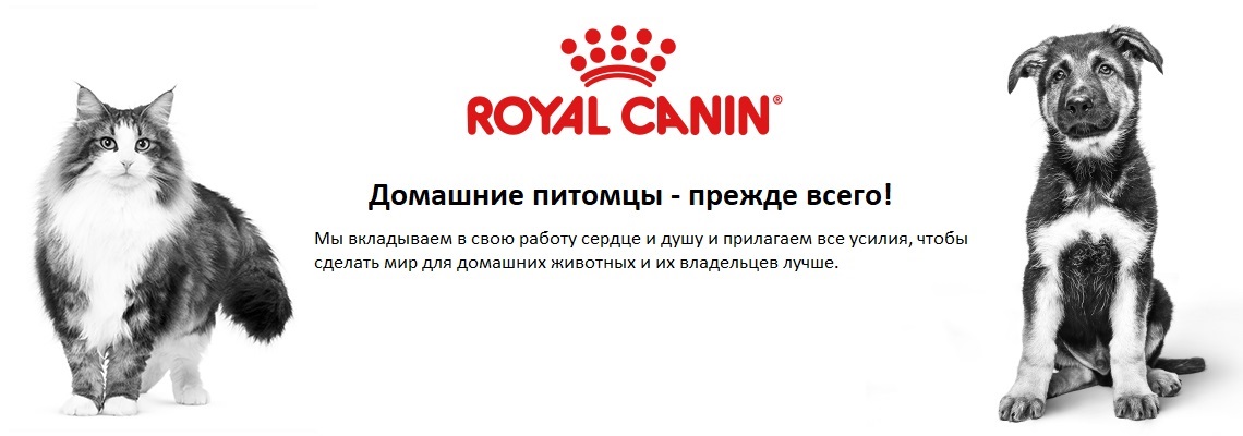 роял